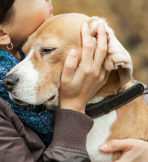 an emotional dog hug owner